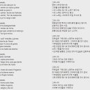 라라뉴욕 이미지