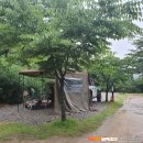 문라이트캠핑장 이미지