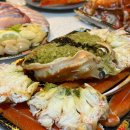 강릉 여행 주문진 수산시장 해송횟집 킹크랩 찐후기|대게세트 모둠회 주문진포장