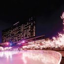 하얏트호텔 이미지