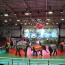 점보빌리지 이미지