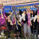 리브아카데미고등전문관학원 | 부산애견미용학원 실전에 맞춘 과정