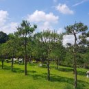 안전목장 이미지