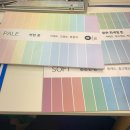 강남 신사 퍼스널컬러 추천 내돈내살