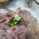 진토박이