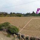 조수리엔 이미지