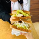 바른생활토스트 이미지