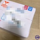 28.4팩토리
