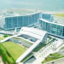 신도안면 파크골프장 이미지