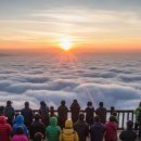 거목축산 이미지