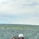 수두농장 이미지