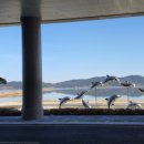 봉동 게이트볼장 이미지