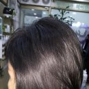 헤어랜드 이미지