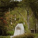 드까르멜릿 이미지