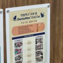 티플러스동물메디컬센터 이미지