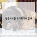 건강한미래약국 이미지