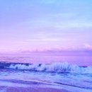 바다그림 이미지