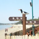 나그네길 이미지