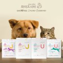 반려동물 간식 이미지