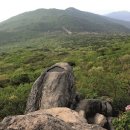 금샘도서관 이미지