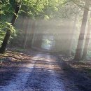 고운누리한의원 | 끈질긴 한포진, 한의원에서 희망을 찾은 이야기