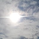 LK HOTEL | 네덜란드 워홀 D+139~143 A September Breeze Walk in Amsterdam 🌿