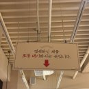 성심당 망고크레페 후기｜가격, 주말 웨이팅, 맛 솔직 리뷰