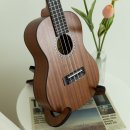 일반인우쿨렐레 이미지