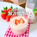 세븐일레븐 중앙점 | 세븐일레븐 딸기막걸리 편의점 신상 맛있는 술 추천 막걸리 후기