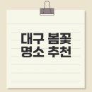 햇살온누리약국 | 대구 봄꽃 명소 베스트10 탐방기