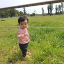 유현목장 이미지