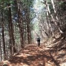 오전약수관광지 이미지