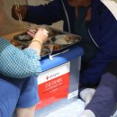 대구팔달초등학교 이미지