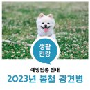 도림하나동물병원 이미지