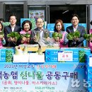 관악농협농특산물백화점 이미지