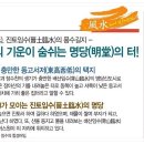 장아산근린공원 이미지