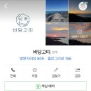 바당고띠 이미지