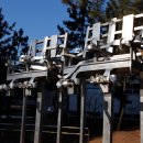 화합의 꽃이 피다 이미지