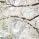 신원동 청룡텃밭 이미지