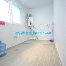 쉐르빌꽃 네이버블로그