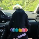 여수안단테애견스파오션뷰펜션 이미지