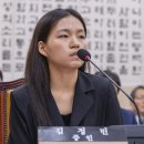 與 “관봉권 띠지 분실, 실수 아닌 윗선 감추려는 조직범죄” 이미지