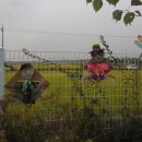 초록별숲유치원 이미지