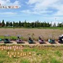 알로하스테이 이미지