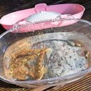 정선 도원펜션&캠핑장 이미지