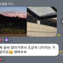 ♡엄마랑 나랑 행복한 캘리그라피♡ | [온라인워크샵] 5월 달숲 캘리그라피 원데이클래스 수업 후기 (온라인 출강)