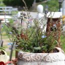 반포면사무소 화장실 이미지