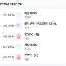 후둥 이미지