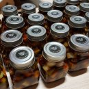 쌍둥이목장 이미지