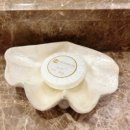 할로나J 이미지